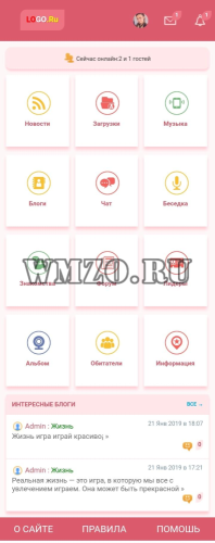 Pink — Design for Dcms-social