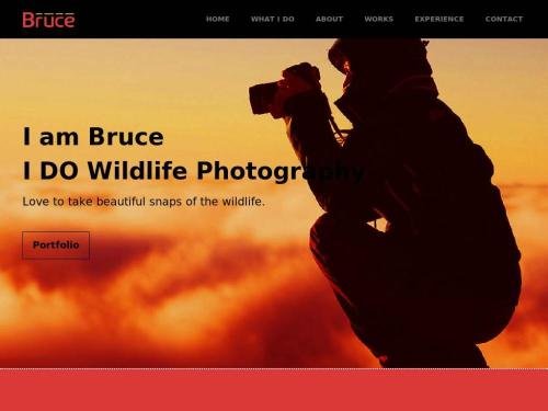 Bruce Photography