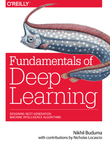 Fundamentals of Deep Learning