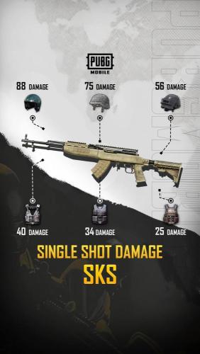 ALL 7.62mm Sniper Rifles Single Shoot Damage