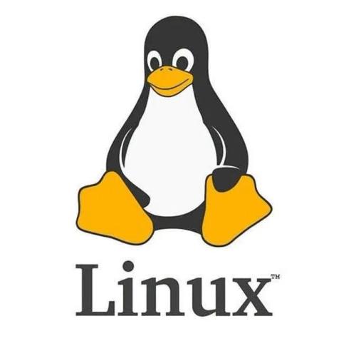 Meet Linus Torvalds Founder of Linux