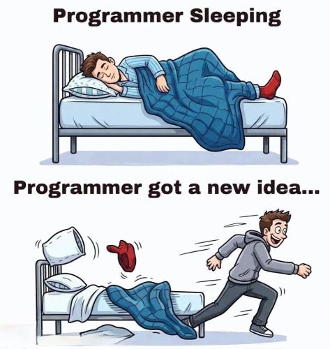 Programmer